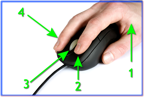 A hand holding a computer mouse.