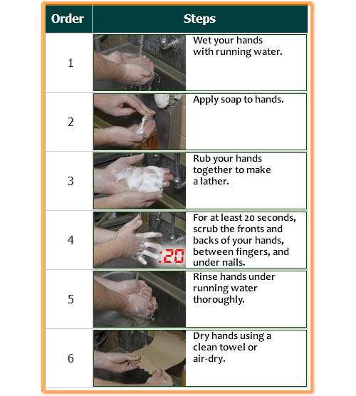 Photos of the proper hand washing steps.